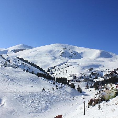 Snow Patrol Lodge Tetowo Zewnętrze zdjęcie